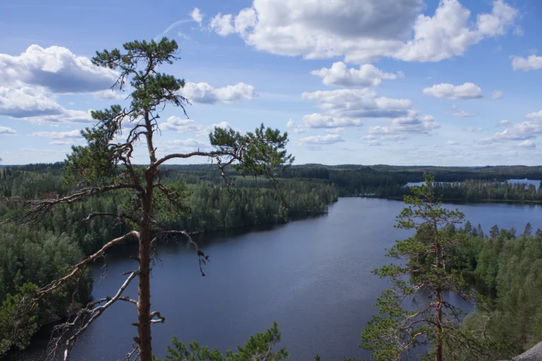 Ympäristöjärjestelmätyö osana jatkuvaa kehittymistä